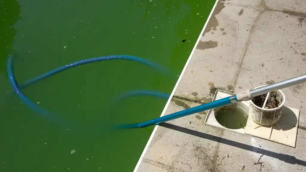 Pool mit grünem Poolwasser voller Algen, Bodensauger und Skimmer