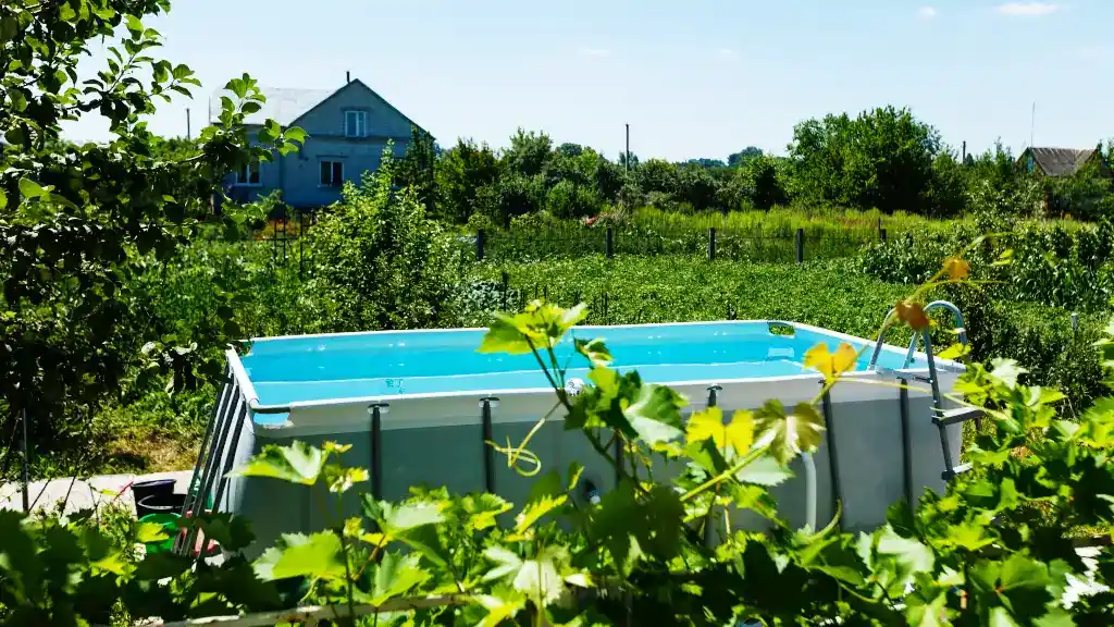 Symbolbild Frame Pool im Garten mit Weinreben